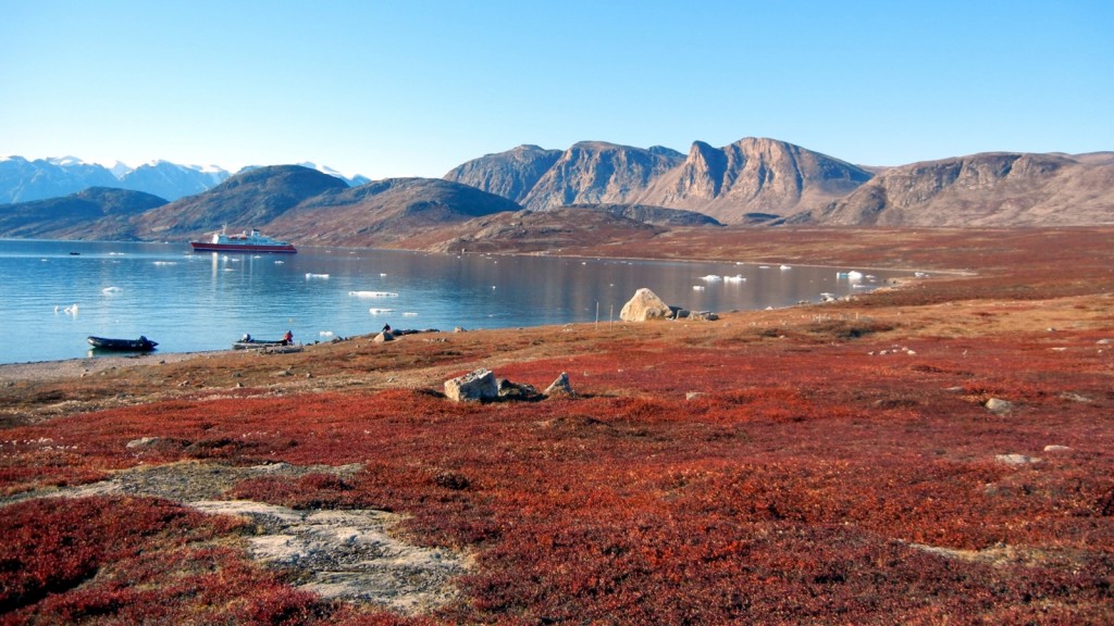 格陵蘭夏季溶雪後的海岸，鋪滿顏色鮮艷的植物