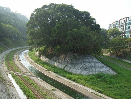 梅樹坑河段的人工河道