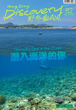 v82_Cover_s