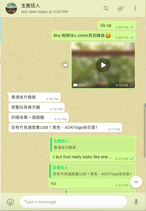 即時聊天：香港係冇蜂鳥