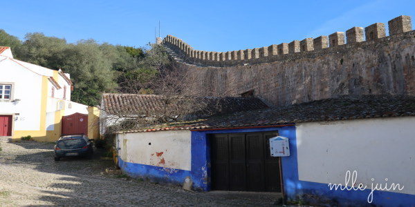 生怕危險，當地政府已禁止大家爬城牆。